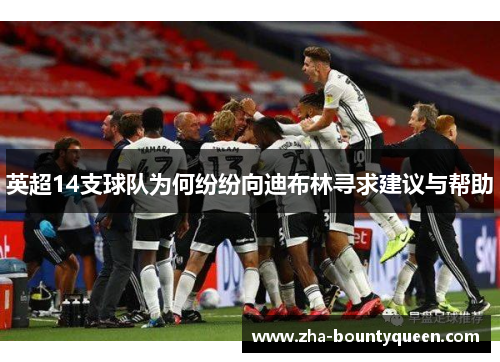 英超14支球队为何纷纷向迪布林寻求建议与帮助 英超14支球队为何纷纷向迪布林寻求建议与帮助